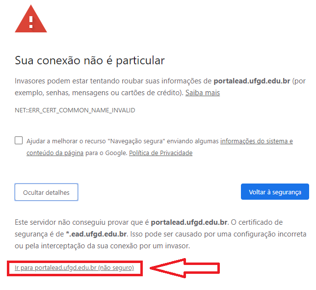 Erro portal 2
