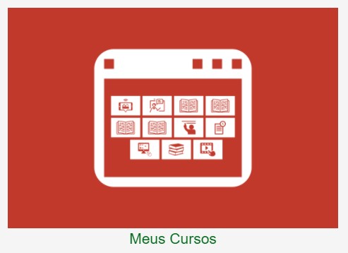 meus cursos